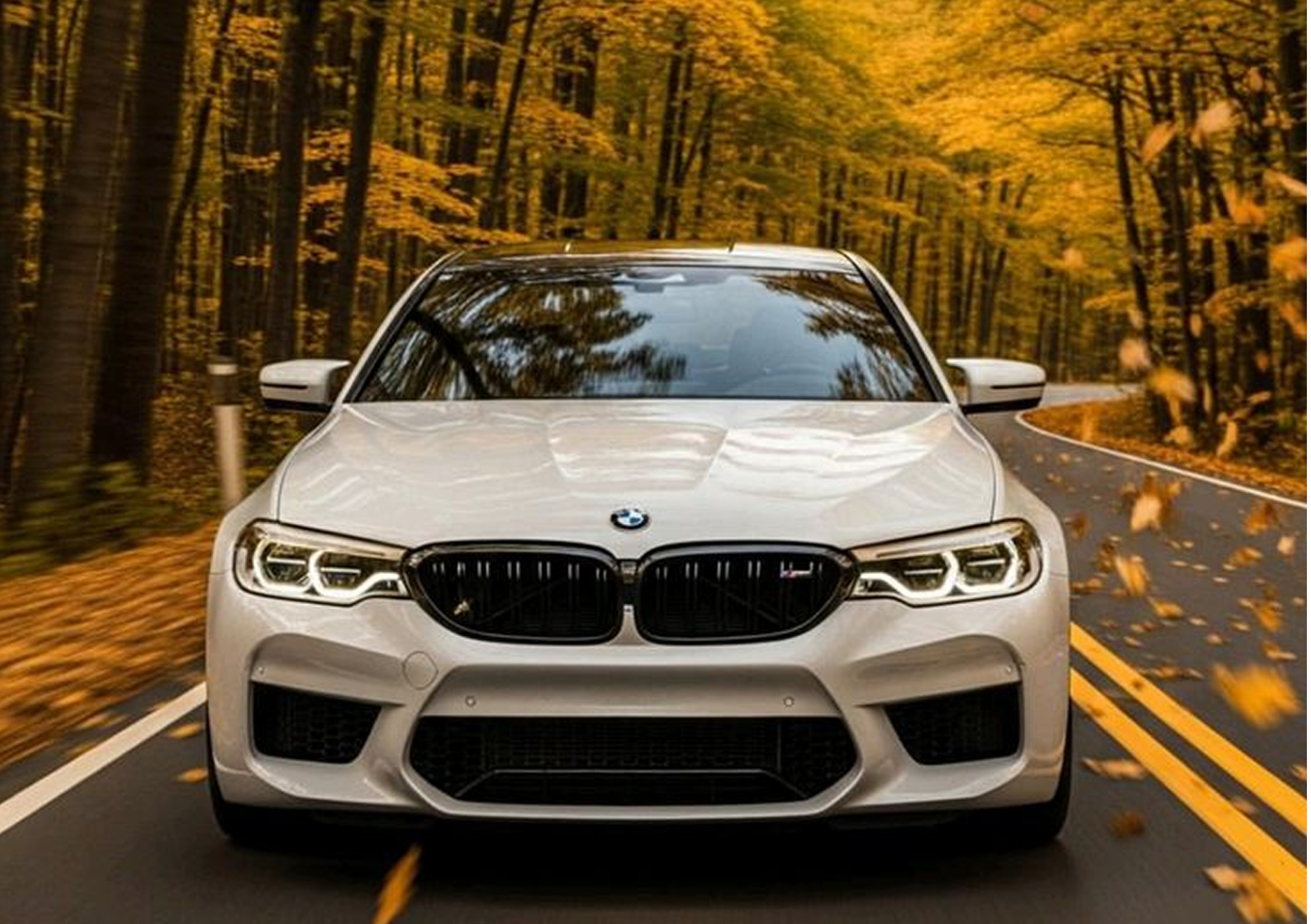 Article article_images_8_17769493661198343047.png | 